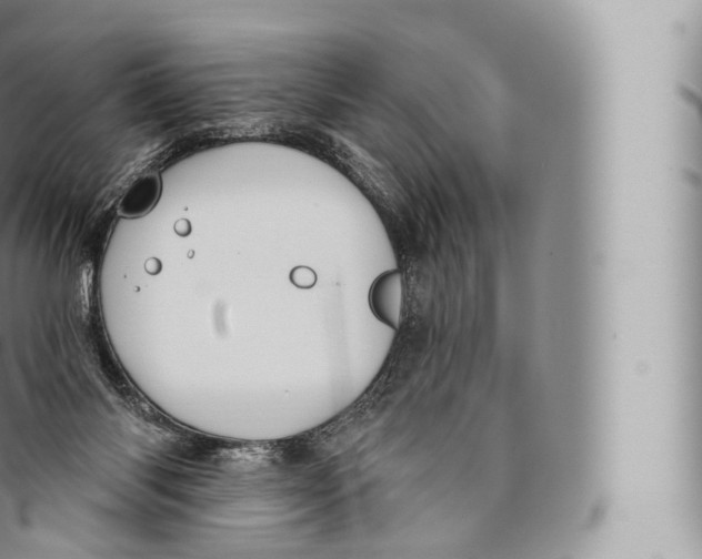 X0000096490118200802141755