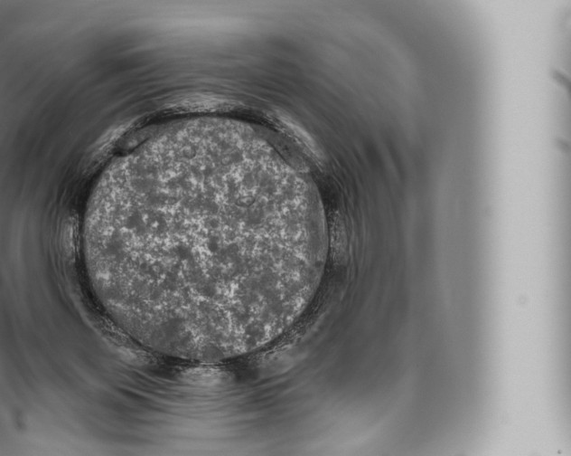 X0000096490119200802141755