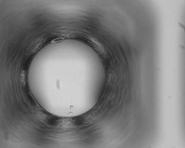 X0000096490121200802141755