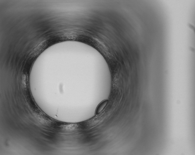 X0000096490122200802141755