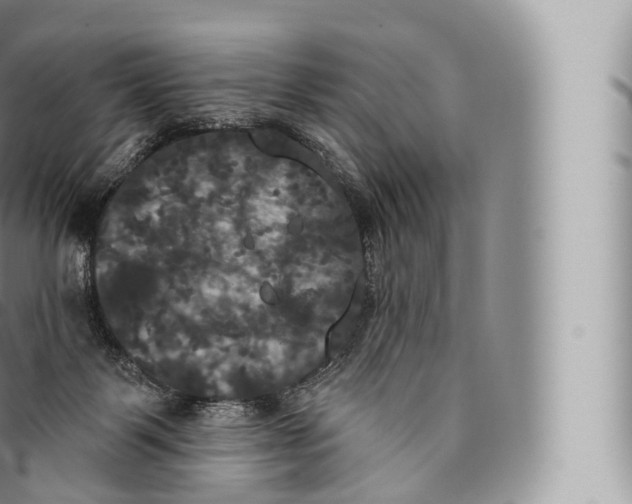 X0000096490123200802141755