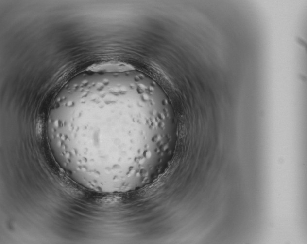 X0000096490124200802141755