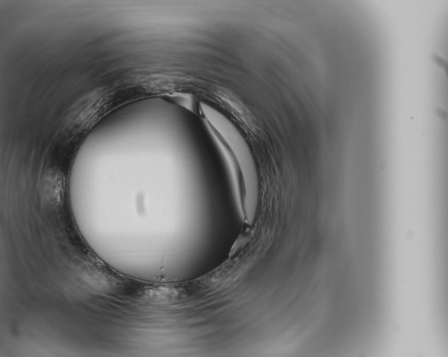 X0000096490125200802141755