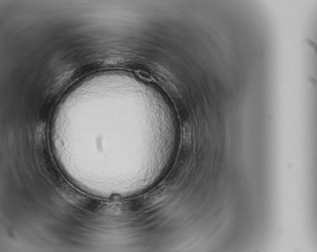 X0000096490127200802141755