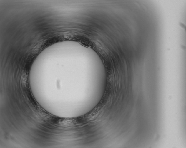 X0000096490129200802141755