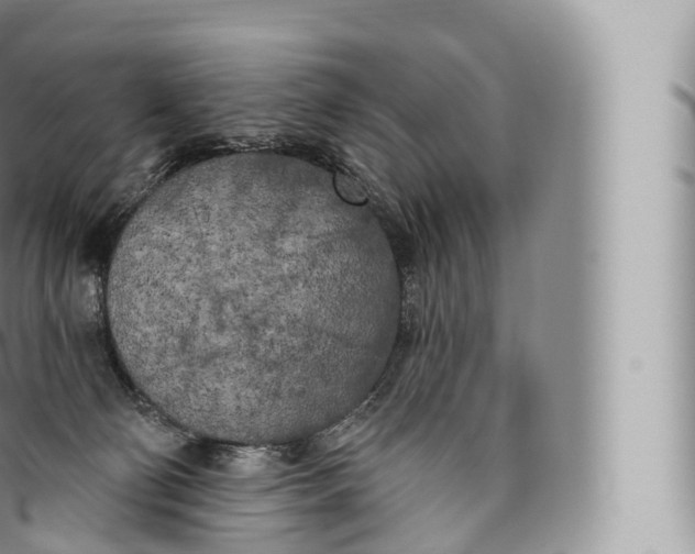 X0000096490130200802141755