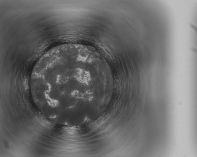 X0000096490131200802141755