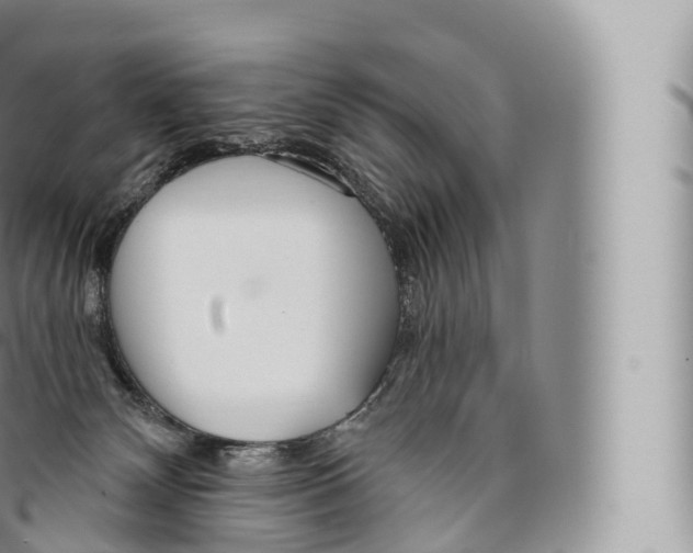 X0000096490132200802141755