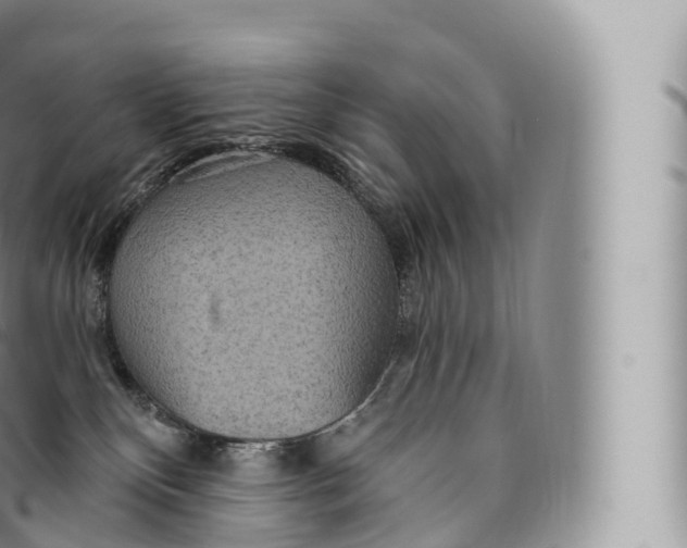 X0000096490136200802141755