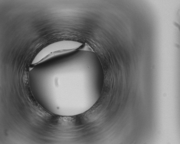 X0000096490137200802141755