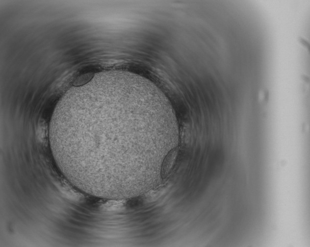 X0000096490138200802141755