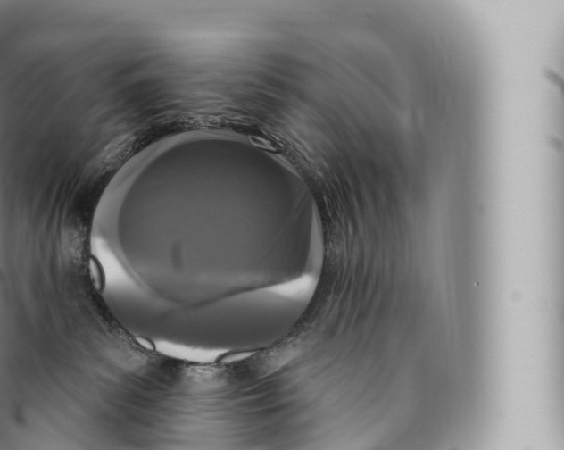 X0000096490139200802141755