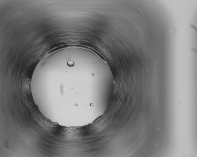 X0000096490141200802141755