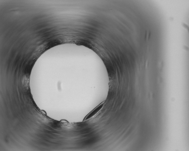 X0000096490142200802141755