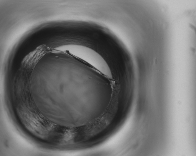 X0000096490143200802141755