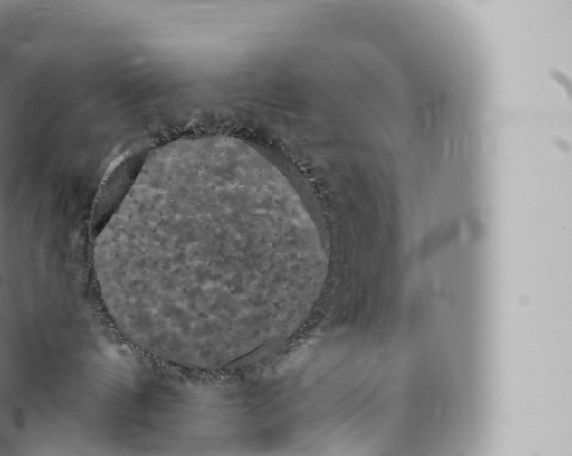 X0000096490144200802141755