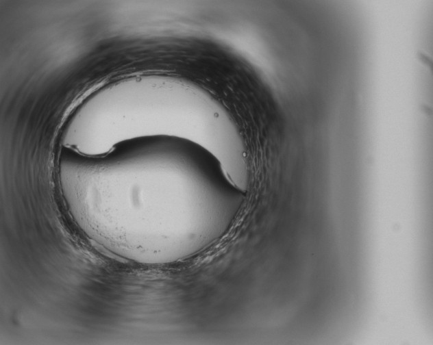 X0000096490146200802141754