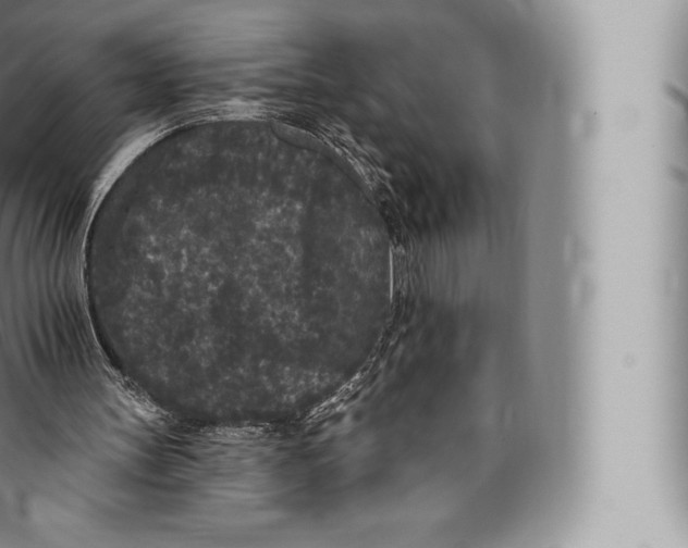 X0000096490147200802141754