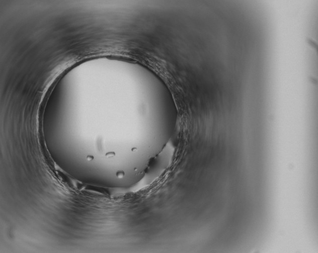 X0000096490148200802141754