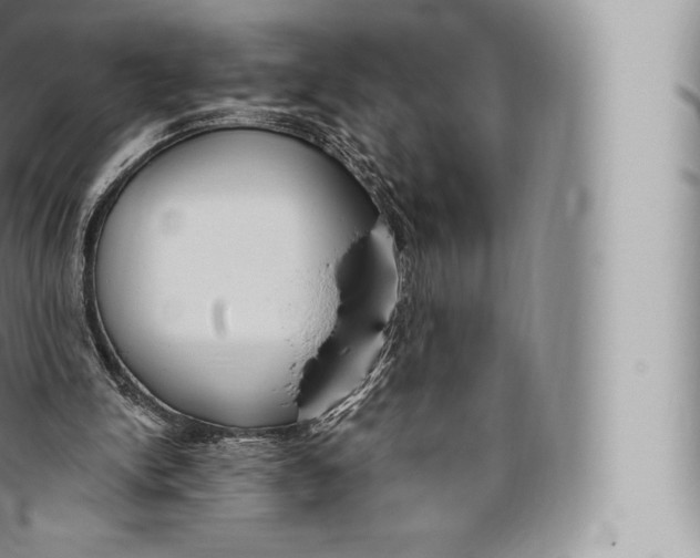 X0000096490150200802141754