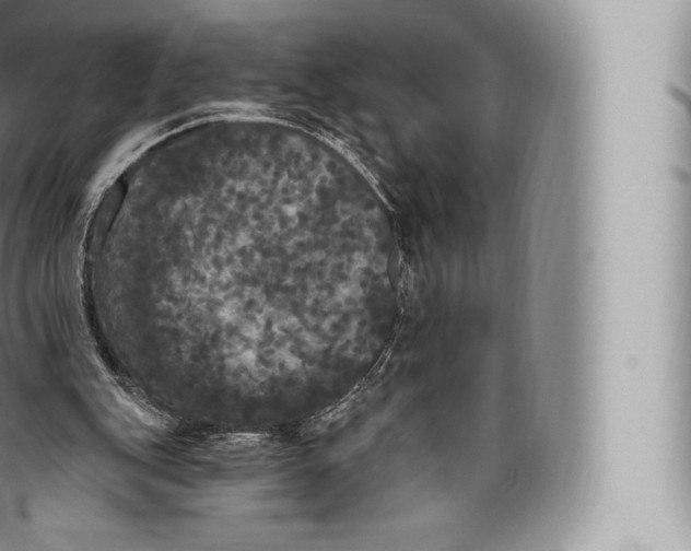 X0000096490151200802141754