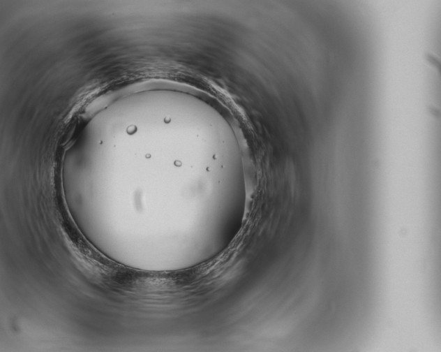 X0000096490154200802141754