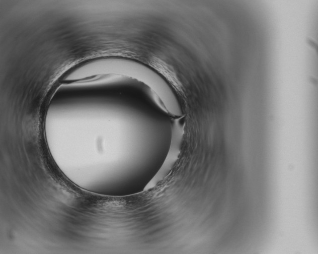 X0000096490156200802141754