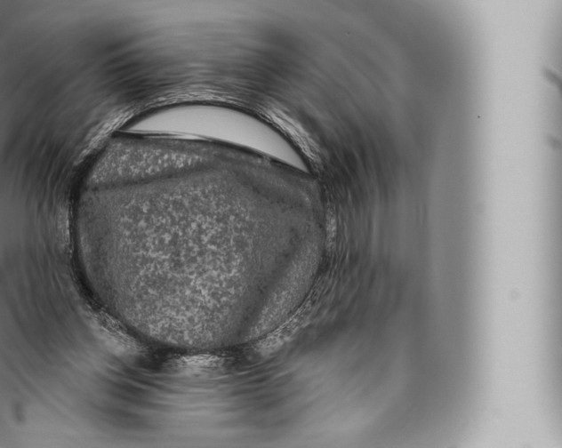 X0000096490158200802141754