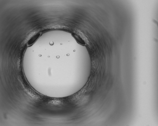 X0000096490159200802141754