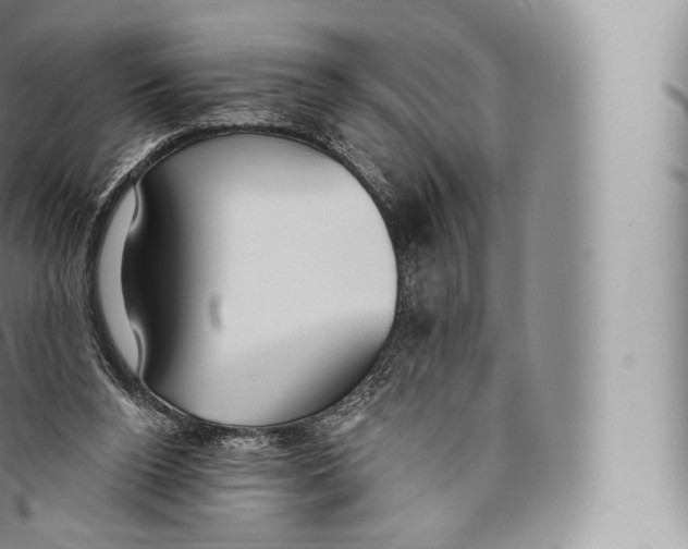 X0000096490160200802141754