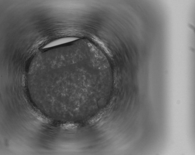 X0000096490161200802141754