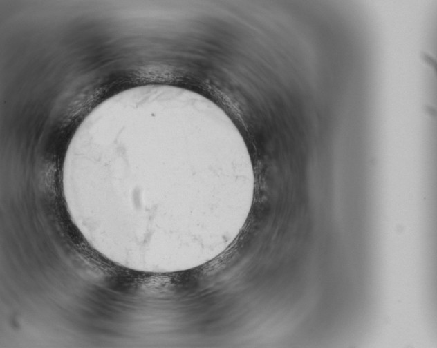 X0000096490162200802141754