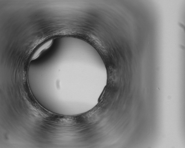 X0000096490164200802141754