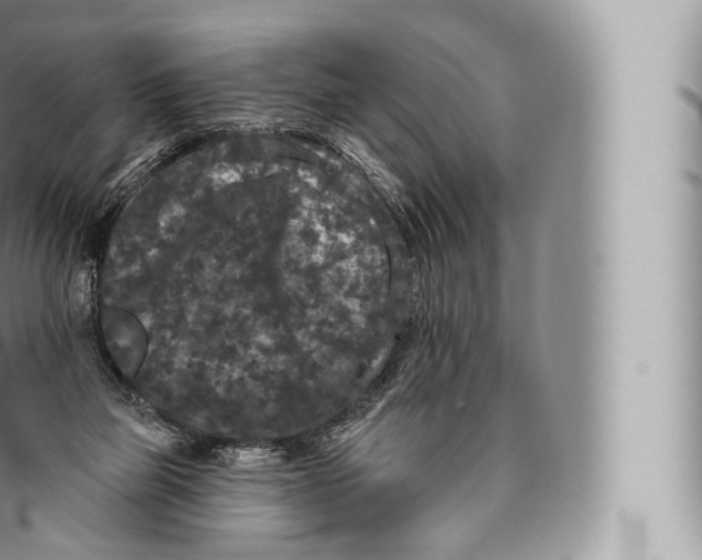 X0000096490165200802141754