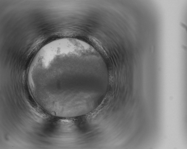 X0000096490167200802141754