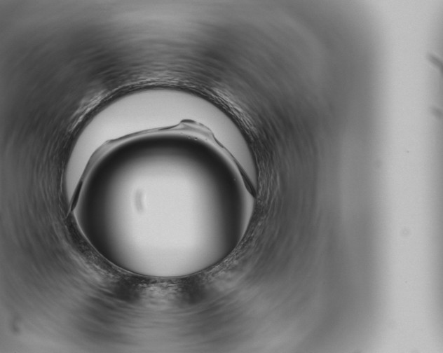 X0000096490168200802141754