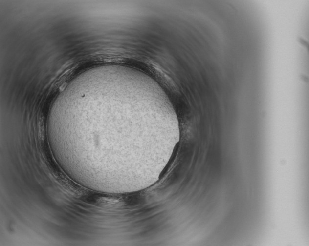 X0000096490170200802141754