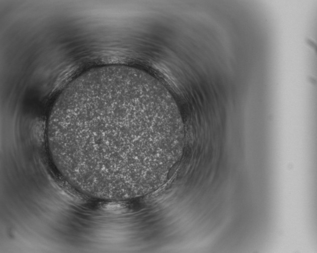 X0000096490171200802141754