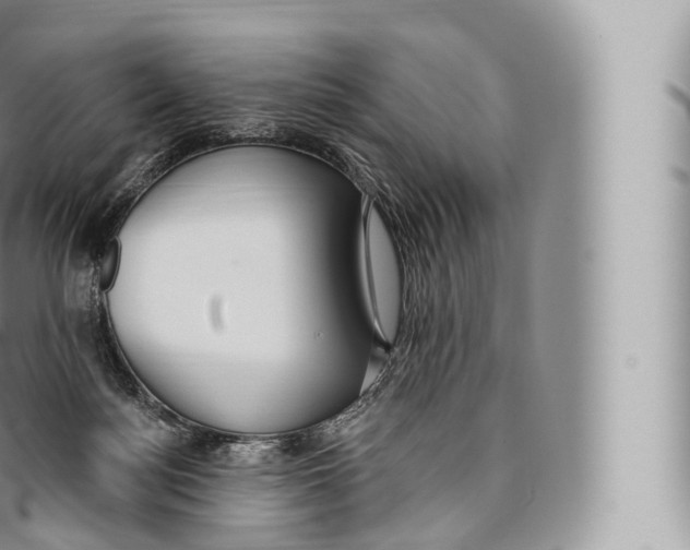 X0000096490172200802141754