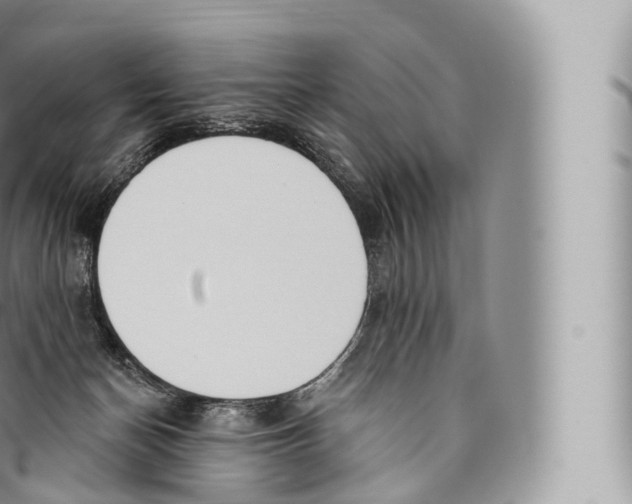 X0000096490174200802141754