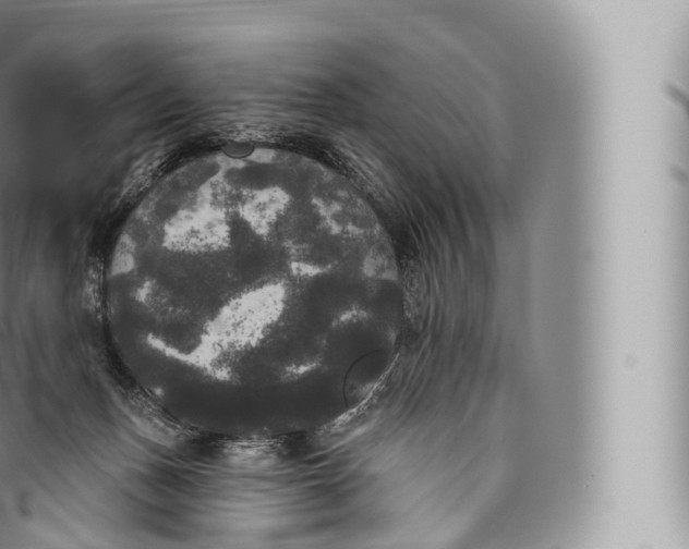 X0000096490175200802141754