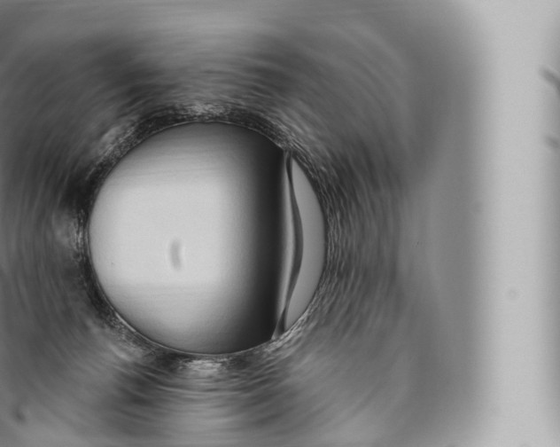 X0000096490176200802141754