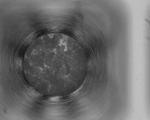 X0000096490178200802141754