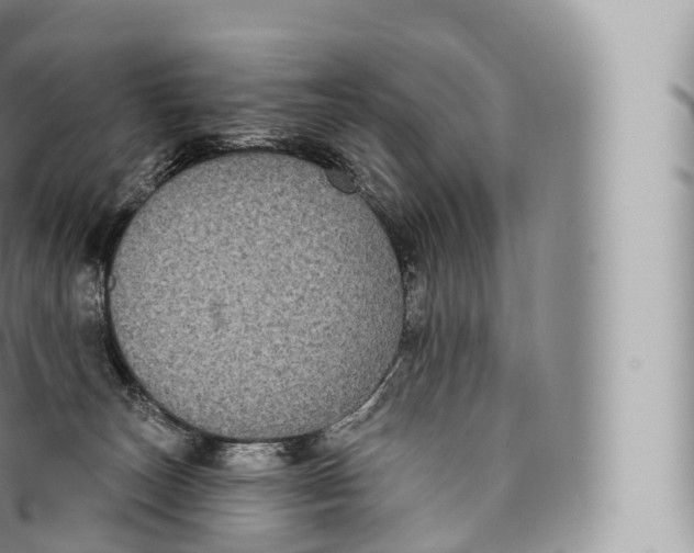 X0000096490179200802141754