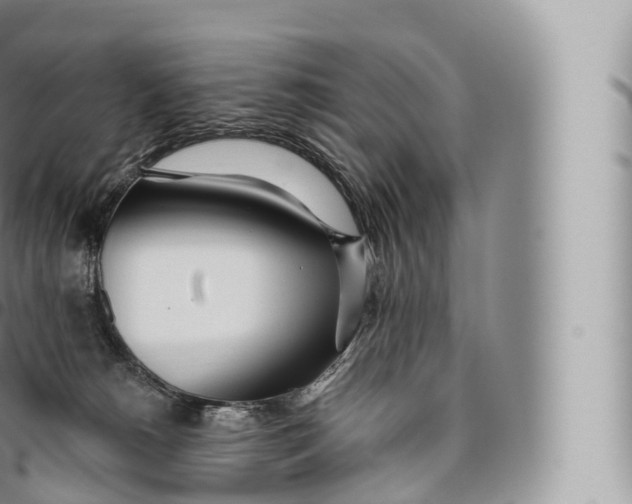 X0000096490180200802141754