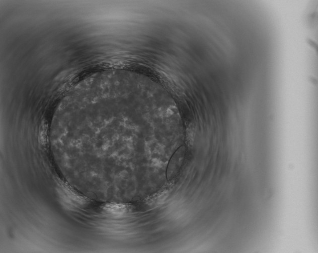 X0000096490181200802141754