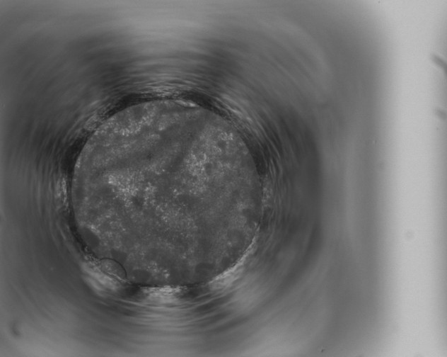 X0000096490182200802141754