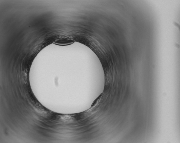 X0000096490183200802141755