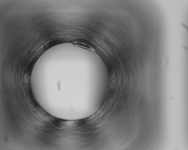 X0000096490184200802141755