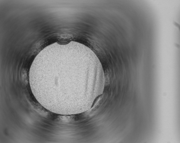 X0000096490187200802141755